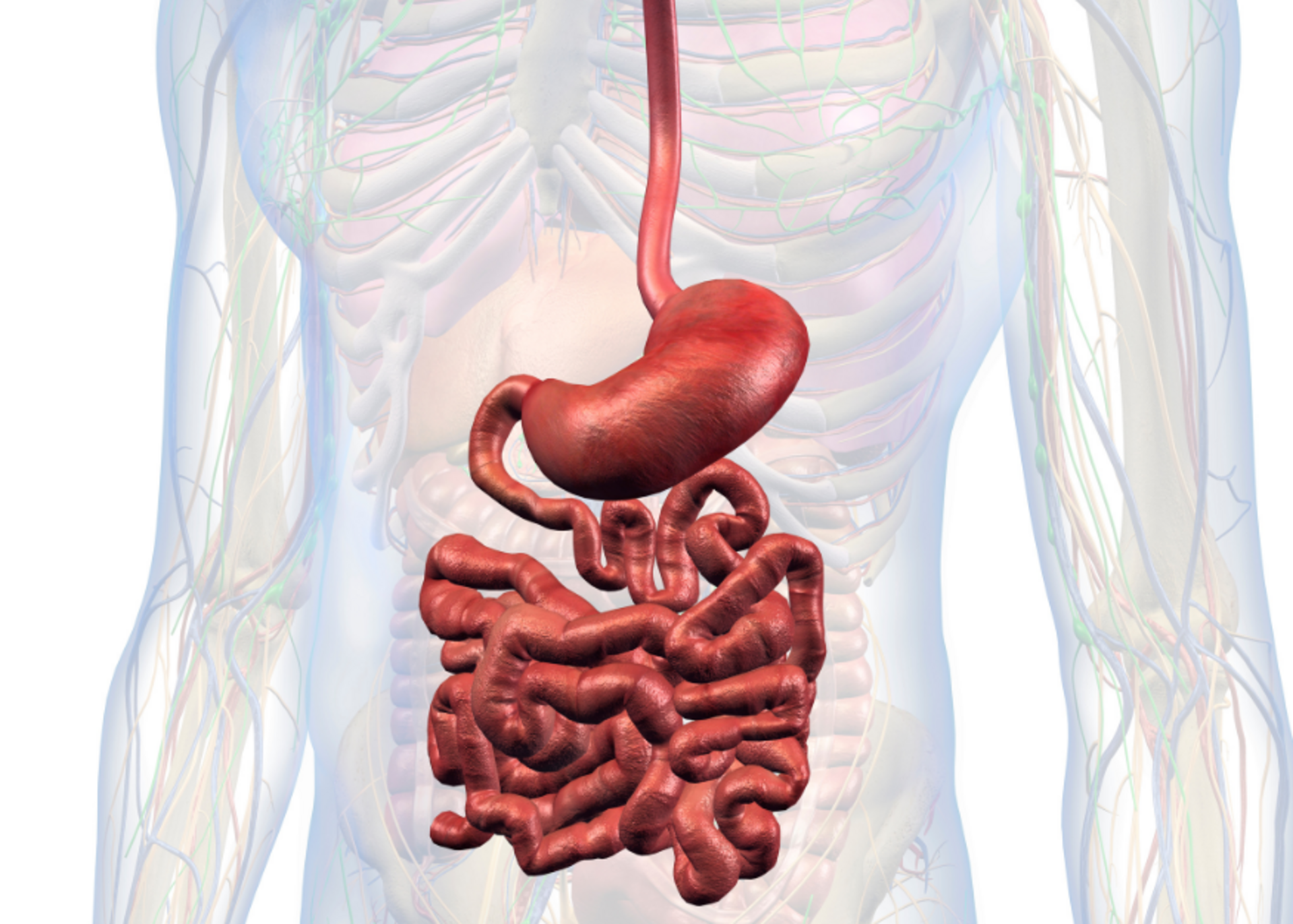 Esophagus and Stomach Diseases |Dr. Rupesh Lunkad